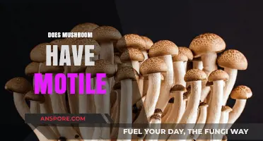 Mushroom Motility: The Truth About Fungi Movement