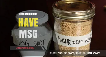 Mushroom's MSG Mystery: Fact or Fiction?