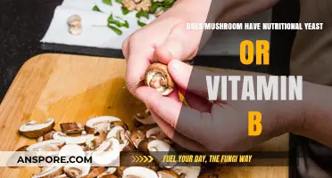 Mushroom Nutrition: Vitamin B and Yeast Benefits