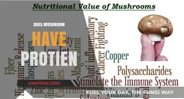 Mushrooms: A Surprising Source of Protein?