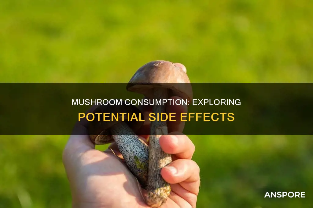 does mushroom have side effects