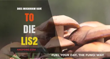 Mushroom's Life: The Science Behind Their Survival