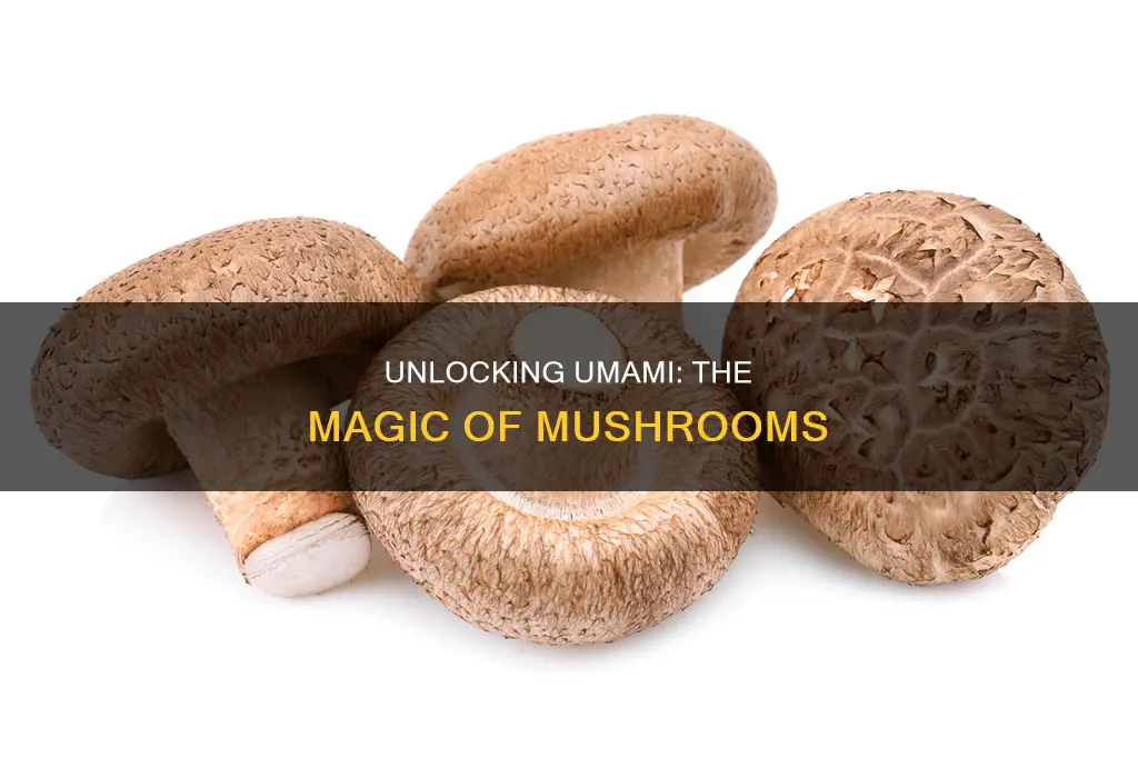 does mushroom have umami