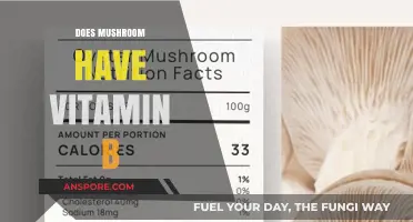 Mushroom Superpowers: Vitamin B Source?