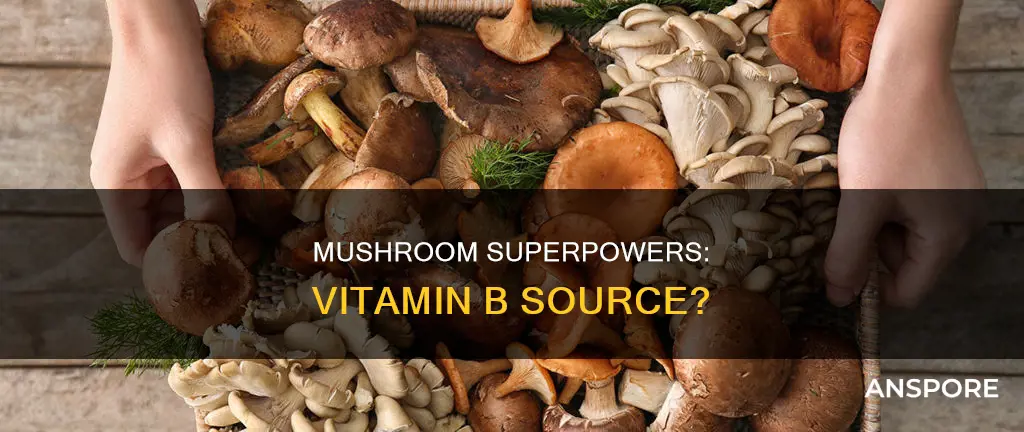 does mushroom have vitamin b