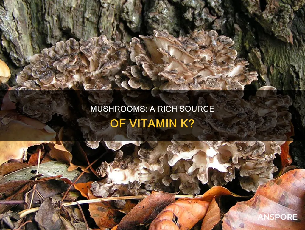 does mushroom have vitamin k