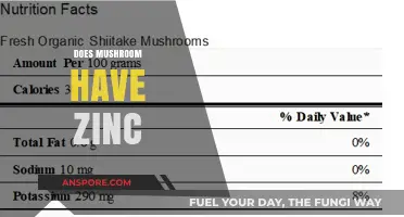 Mushroom Nutrition: Zinc Content and Benefits