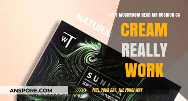 Mushroom Head Cushion CC Cream: Effective or Gimmick?