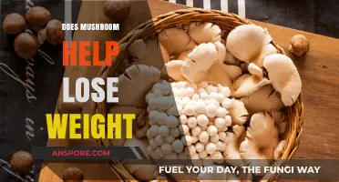 Mushroom Magic: Weight Loss Superfood?