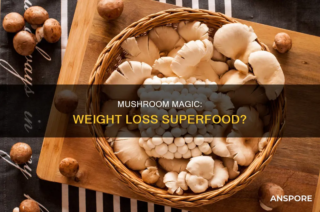 does mushroom help lose weight