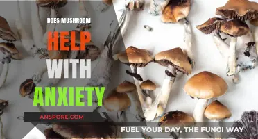Mushrooms: Natural Anxiety Relief?