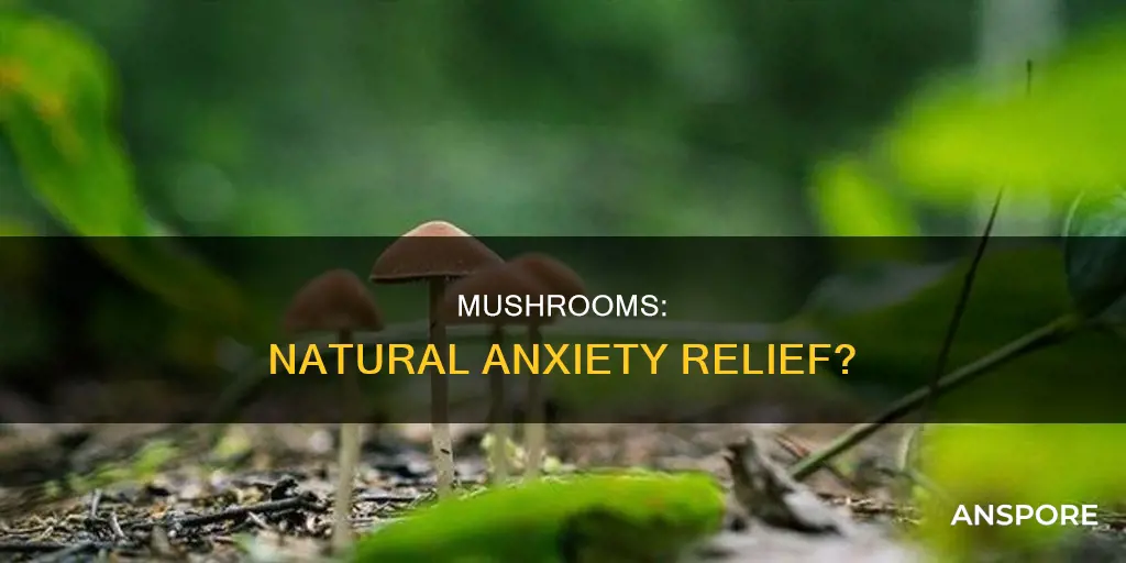 does mushroom help with anxiety