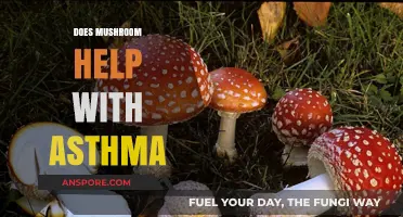 Asthma and Mushrooms: A Natural Remedy?