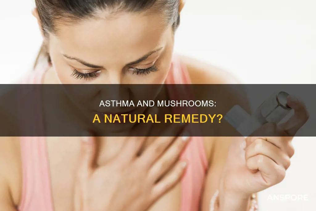 does mushroom help with asthma