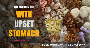 Mushroom Magic: Soothing Upset Stomachs