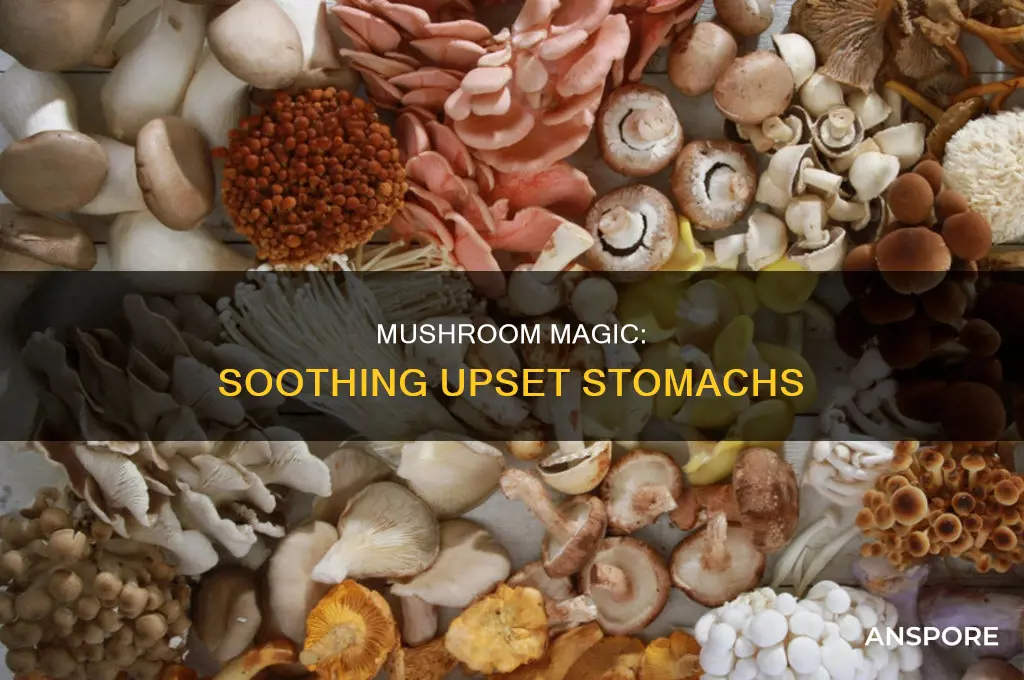 does mushroom help with upset stomach