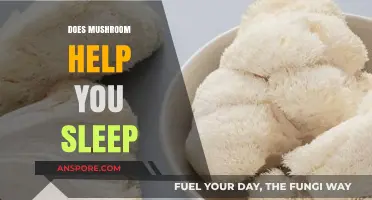 Mushroom Magic: Enhancing Sleep Quality
