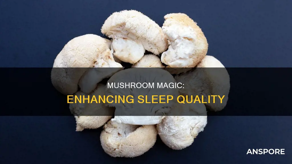 does mushroom help you sleep