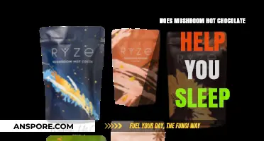 Mushroom Hot Chocolate: A Sleep Aid?