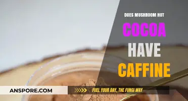 Mushroom Hot Cocoa: Caffeine or Not?