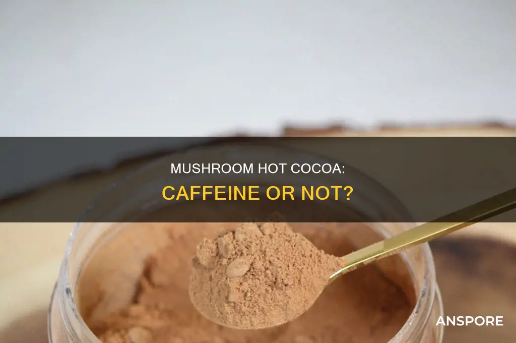 does mushroom hot cocoa have caffine