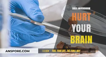 Mushroom Consumption: Brain Health Risks and Benefits