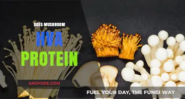 Mushroom Protein: Do Fungi Have Amino Acids?