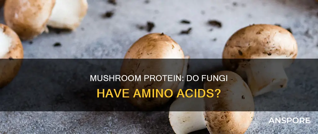 does mushroom hva protein
