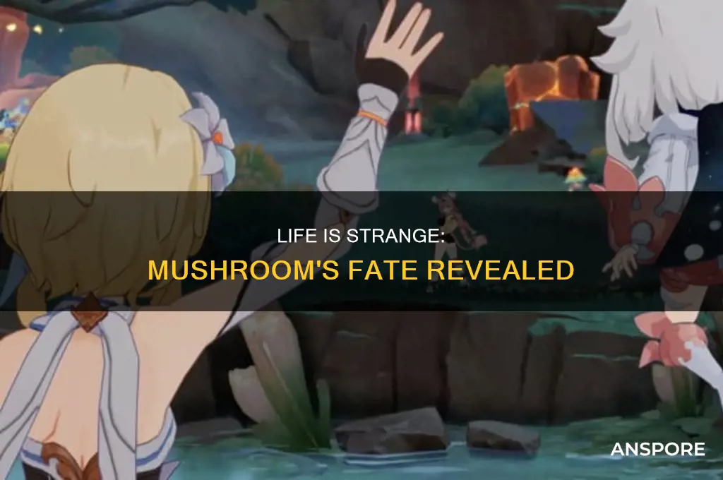 does mushroom in life is strange live