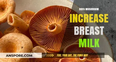 Mushroom Magic: Boosting Breast Milk Supply?