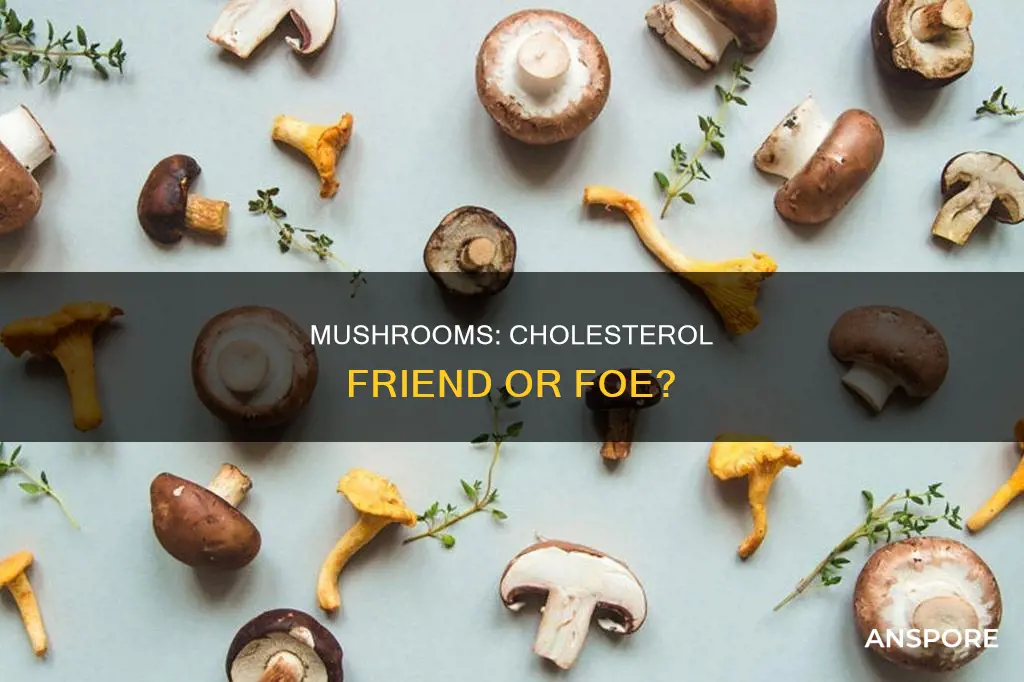 does mushroom increase cholesterol