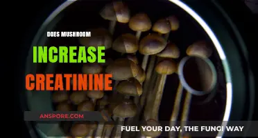 Mushroom Consumption: Creatinine Levels Increase or Decrease?
