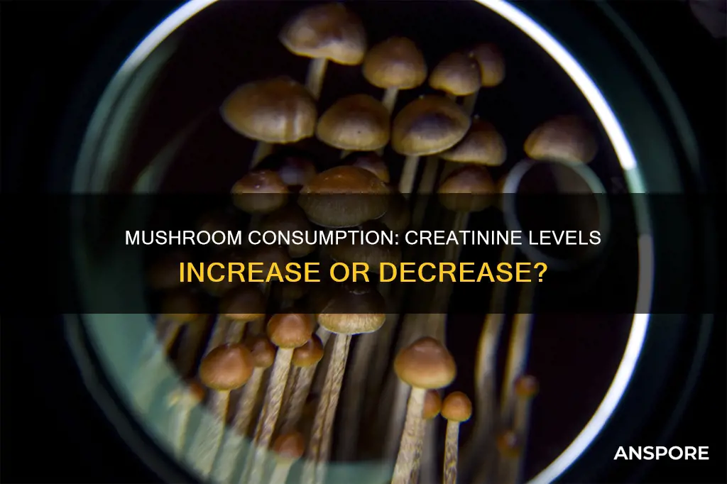does mushroom increase creatinine