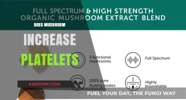 Mushroom Power: Boosting Platelets Naturally