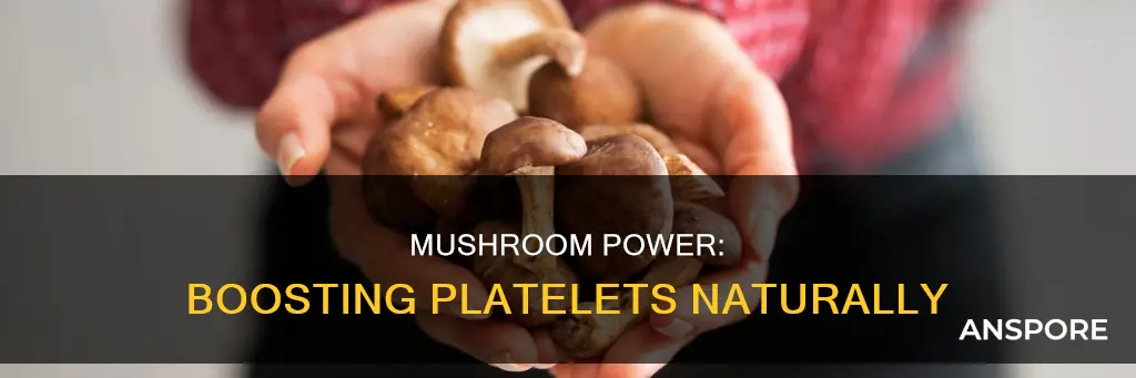 does mushroom increase platelets