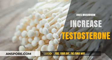 Mushroom Power: Testosterone Boost or Myth?