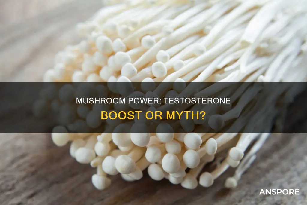 does mushroom increase testosterone