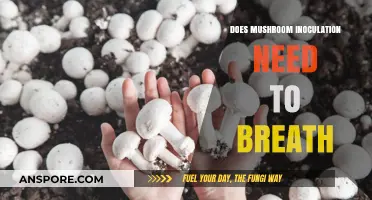 Breathing Life into Mushrooms: Inoculation and Air