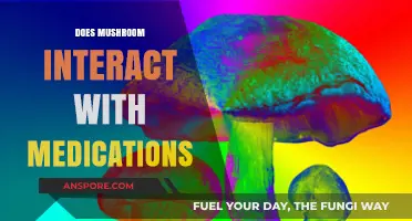 Mushroom Interactions: Medication Risks and Side Effects