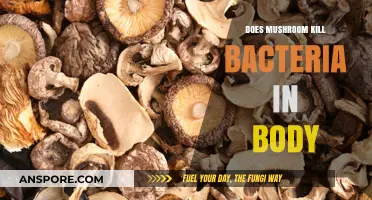 Mushrooms: Natural Bacteria Killers?