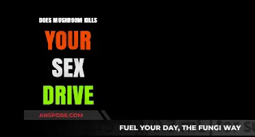 Mushroom Consumption: Can It Affect Your Libido?