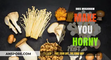 Mushroom Libido Link: Fact or Fiction? Exploring Horny Claims