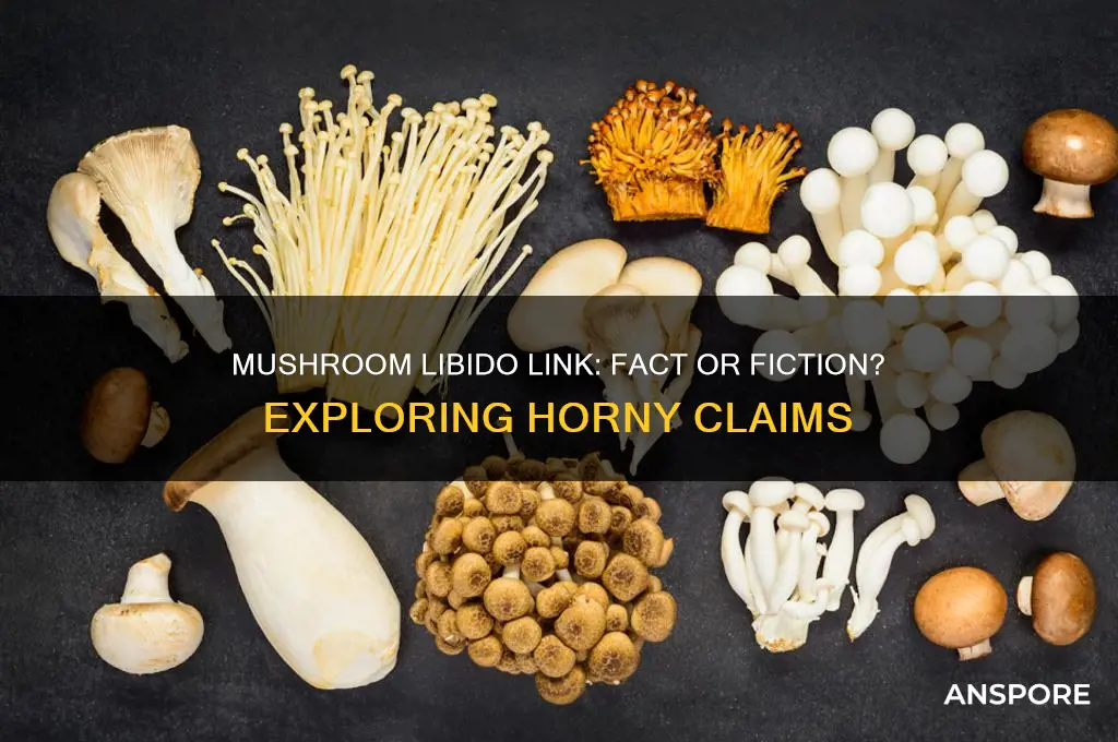 does mushroom make you horny