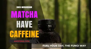 Matcha Mushroom Blend: Caffeine Content Explained