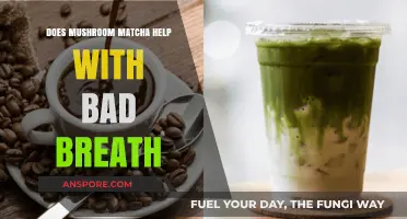 Mushroom Matcha for Bad Breath: Effective Remedy or Myth?