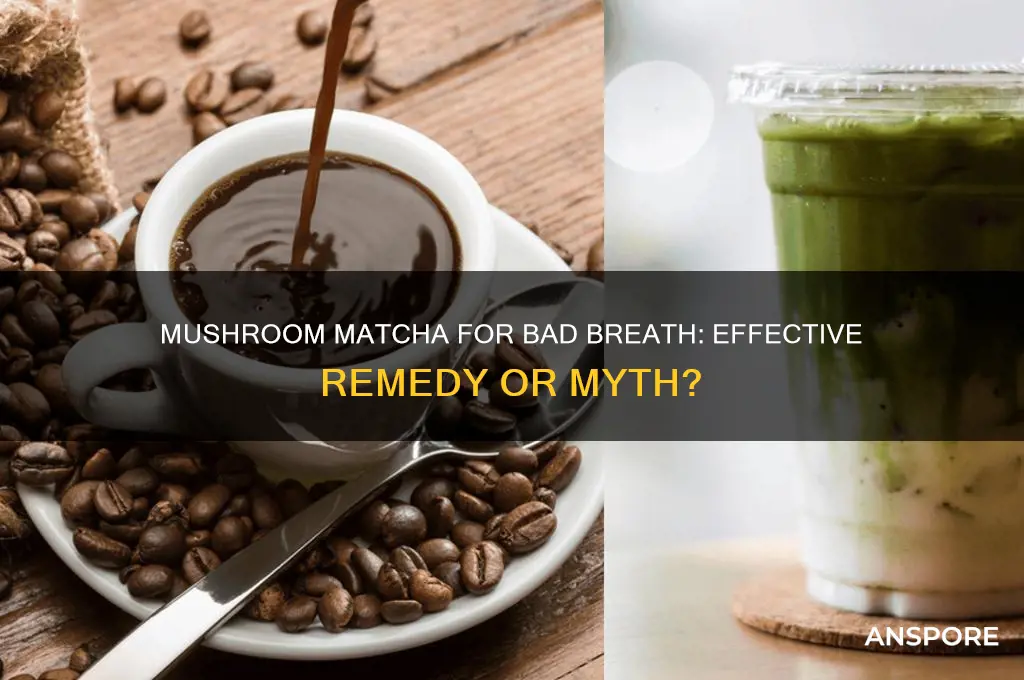 does mushroom matcha help with bad breath