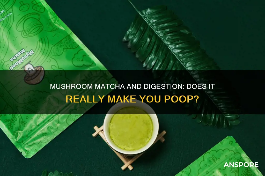 does mushroom matcha make you poop