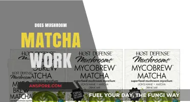 Mushroom Matcha: Does It Work?