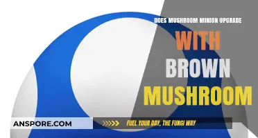 How to Upgrade Mushroom Minions with Brown Mushrooms