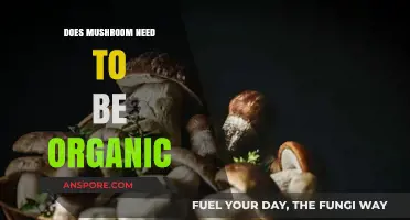 Organic Mushrooms: Are They Worth the Extra Cost?